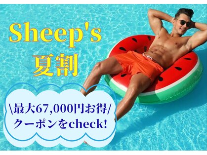 シープ(Sheep)の写真