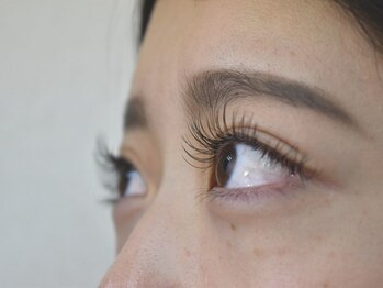 アンジェリ(Angeli)/フラット120本