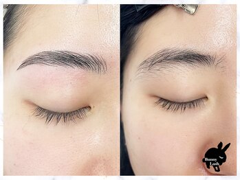 バニーラッシュ(Bunny Lash)/【ハリウッドブロウリフト】