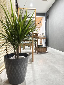 リスカルダ(rescalda)/休憩室の観葉植物