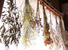 スラープ バイ はりきゅう院米山(slaap)/ヘッドスパ×首～肩 60分