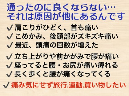 ニコ(nico)の写真