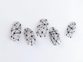 スパイダーアート