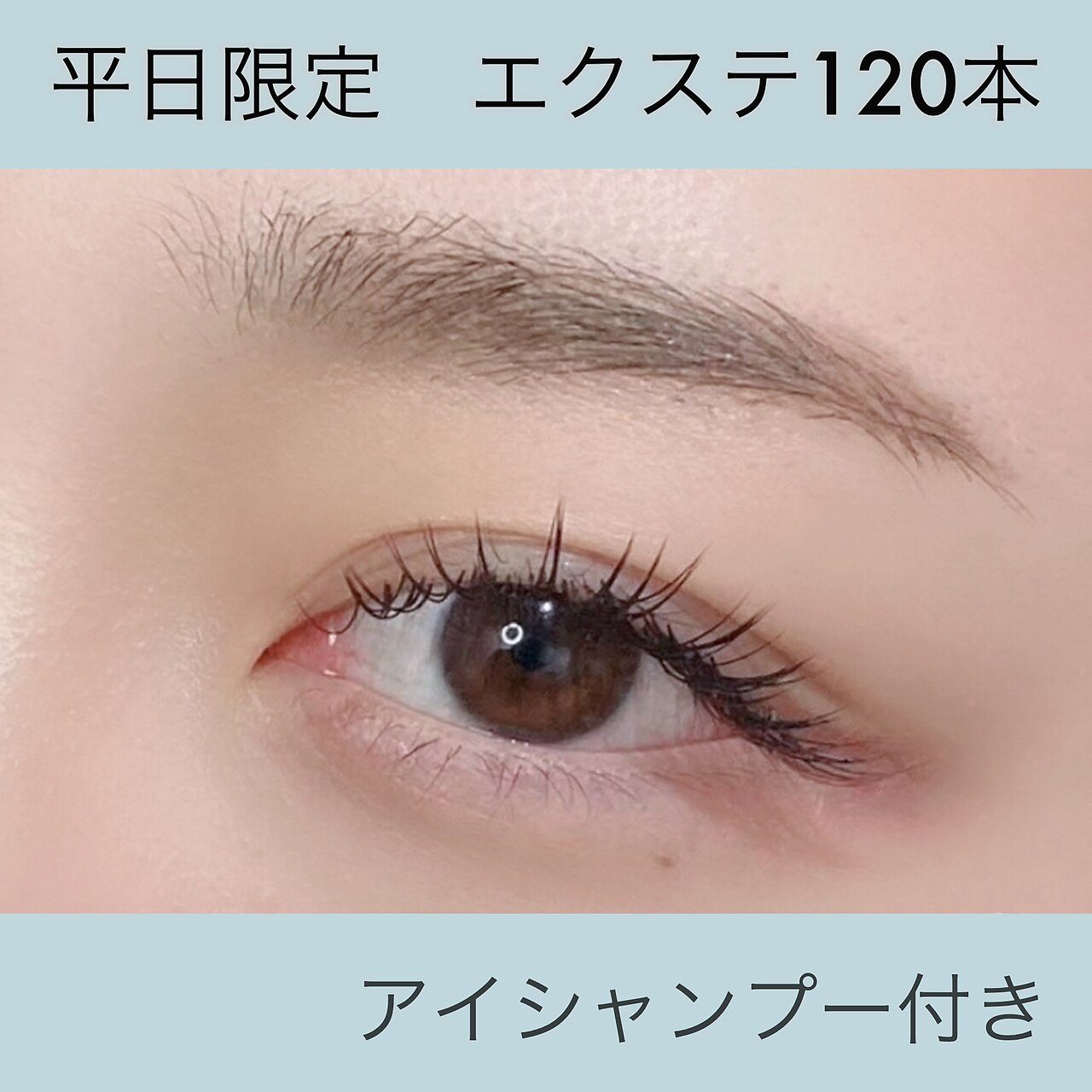 【平日限定】  セーブル120本アイシャンプー付き￥4980　※フラットに変更可