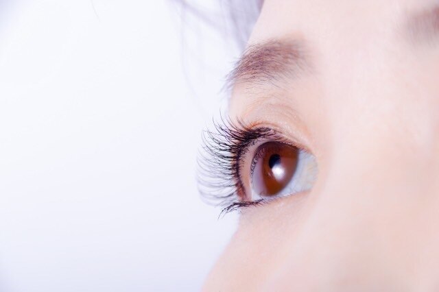 フラットラッシュ100本  \5,500