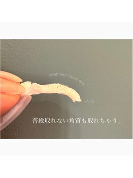 ランド(LAND)/韓国美肌WAX(フェイスワックス)