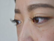 アンジェリ(Angeli)/フラット120本