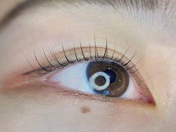 アイラッシュサロンラコタ 池袋東口店(RACOTA)/ラッシュリフト