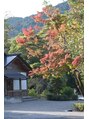 心整体 長岡京院 11月半ば。葉っぱが色づき始めていました。