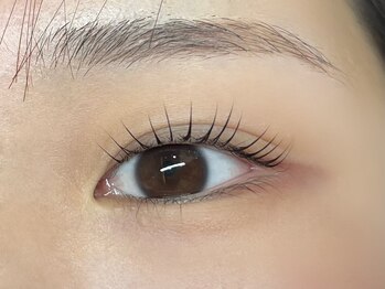 ハーフバックス 堀之内店/立ち上げデザイン