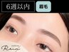 【6週間以内】美眉アイブロウWAX+HBL+間引き(毛量調整) +メイク