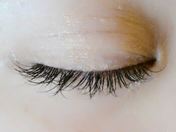 ディシェーレノーテ アイラッシュ(die Schere Note EyeLash)/セーブル120本