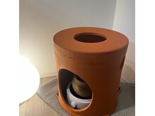 クオルボディケア(QOL Body Care)の雰囲気（Asuca 黄土漢方よもぎ蒸しの正規代理店）