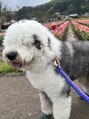 アンアイサロン(UNEeyesalon)&nbsp;休日は愛犬と出かけます☆一目惚れしてお迎えした大型犬です♪