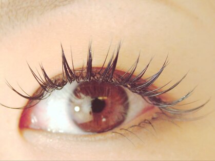 アキュート エの写真