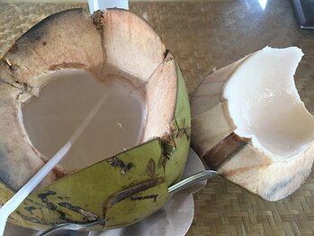 アジアンリラクゼーション ヴィラ 大橋店(asian relaxation villa)/バリ島の飲料 ヤングココナッツ