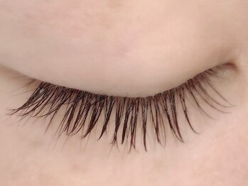 カラン 焼津店(CALIN)/フラットブラウンラッシュ100本