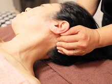 ジェルベラ(gerbera)/