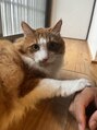 癒し~ぷ 明石駅前店 ねこが好きです。生まれ変わったらねこになりたいぐらいすき。
