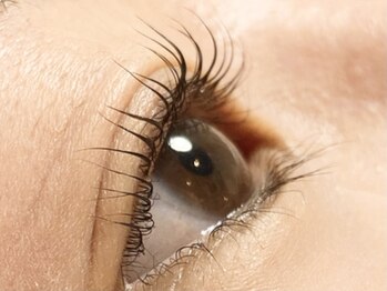 フレイムス アイラッシュ アンド ネイル(FRAMES)/次世代ラッシュリフト