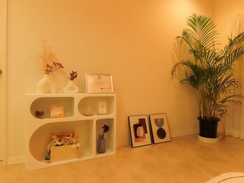 ポインセチア(Poinsettia)/