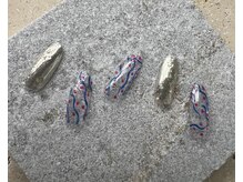 ツリーハウスネイル(tree house nail)/ハンド定額¥6400