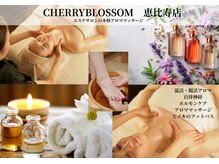 チェリーブロッサム 恵比寿店(CHERRY BLOSSOM)