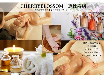 チェリーブロッサム 恵比寿店(CHERRY BLOSSOM)の写真