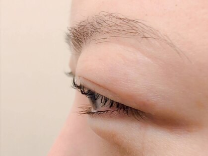 ベル(Bell)の写真