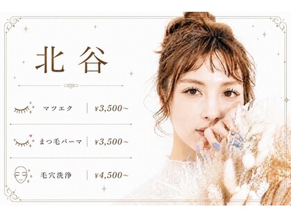 レディ(Lady)の写真
