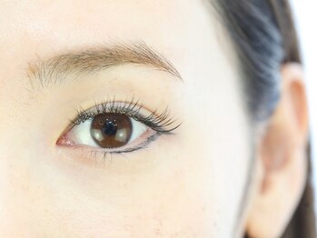 プチ プロムナード(Petit Promenade)/フラットラッシュ140本