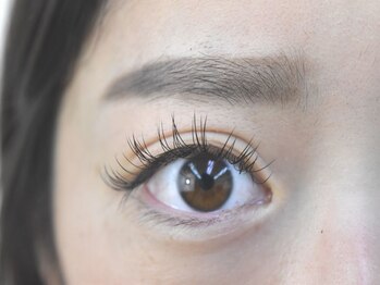 アンジェリ(Angeli)/フラット120本