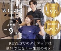 リーブス(REVES)