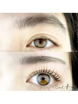 アンドエー(and...A)/まつげパーマ×美眉スタイリング