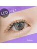 【LEDフラットマットラッシュ】 80本 ¥6100