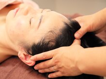 ジェルベラ(gerbera)/