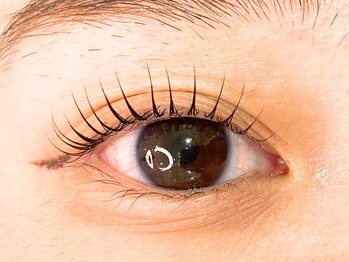 アイビーラッシュ(Eye be Lush)/Uカール