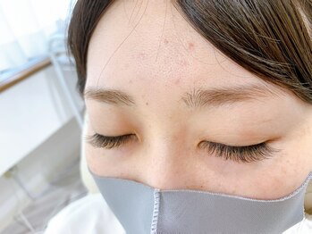 ルピナス(Lupinus)/セーブル140本