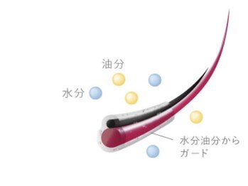 チャーム 近江八幡店(Charm)/口コミ特典