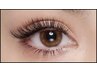 フラットラッシュ120本6.600円