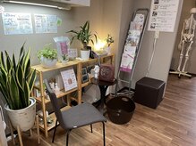 【完全貸切】店内はいつも清潔で明るく観葉植物もたくさん◎