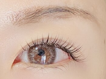 ソルアイラッシュサロン(SOL EYELASH SALON)の写真/あなただけの魅力を引き出す☆「綺麗でもちのよさ」を叶える、なりたい目元になれる多彩な提案が人気！