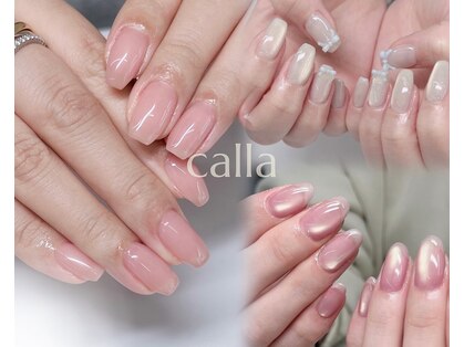 カラー(calla)の写真