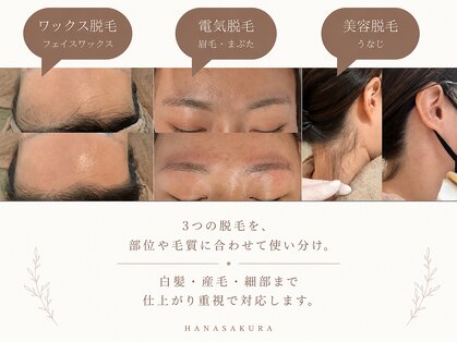 はなさくら あざみ野店の写真