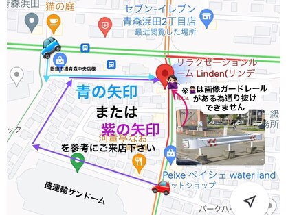 リンデン(Linden)の写真