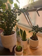 ボディ トーク ヒール コティ(Body talk Heal koti)/◇ Body talk Heal koti ◇