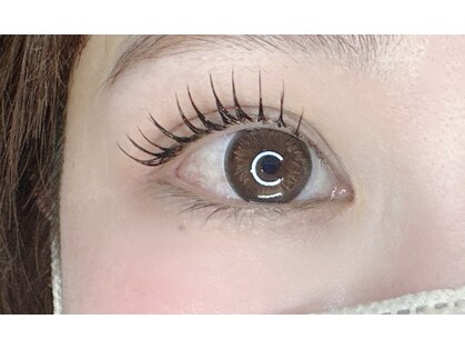 アイラッシュリリィ(Eyelash Lily)の写真