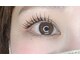 アイラッシュリリィ(Eyelash Lily)の写真