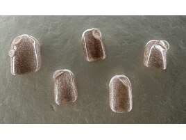 【ハンド】ニュアンスコース