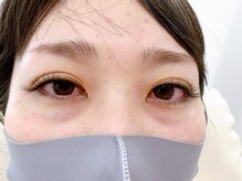 ルピナス(Lupinus)/セーブル140本